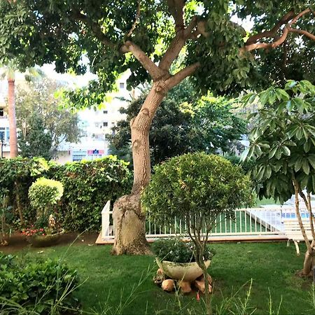 Apartamento Euromar 2 Playa Fontanilla Марбеля Екстериор снимка